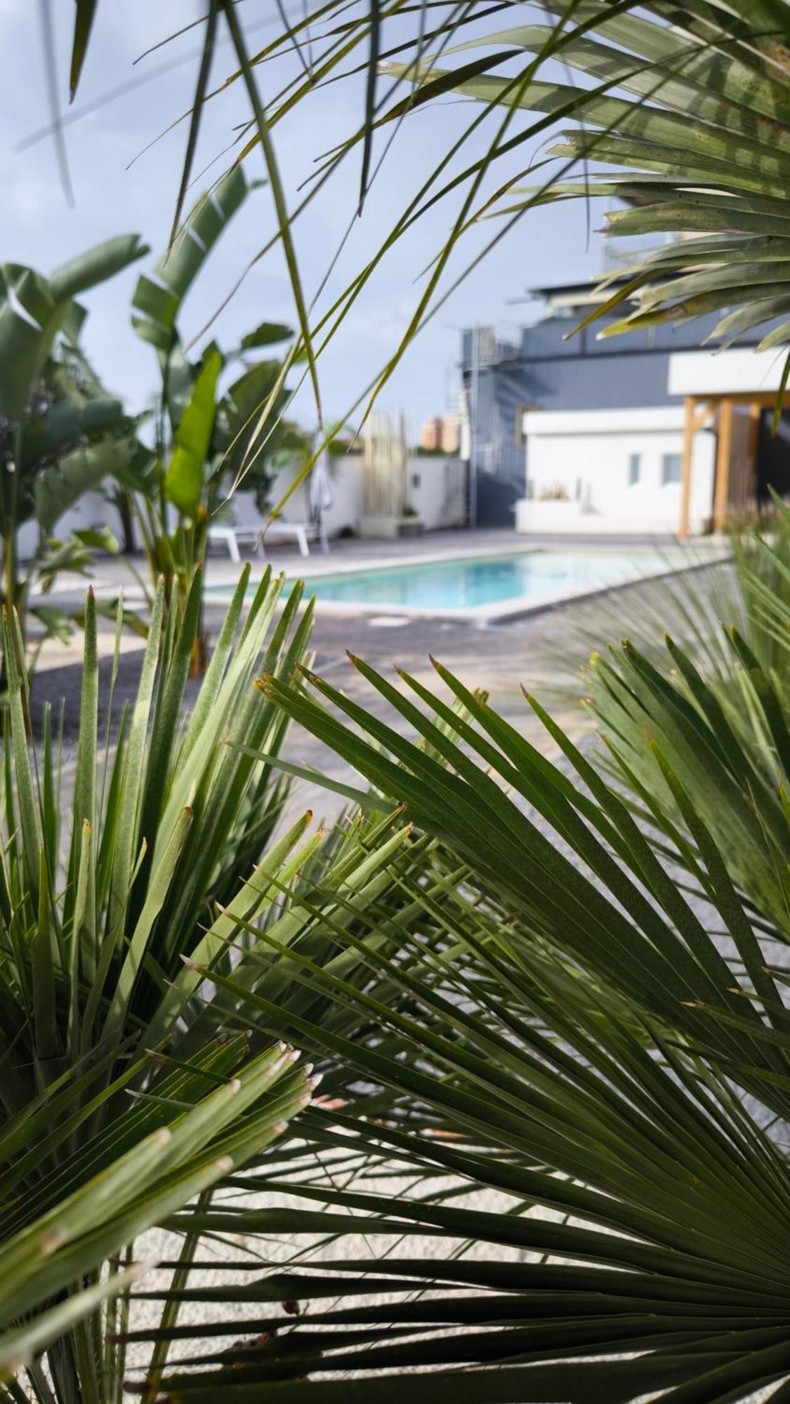 Vistamare Beach Garden Relax San Leone Exteriér fotografie